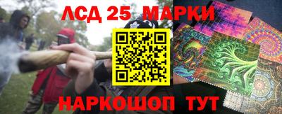 гашик Лесосибирск