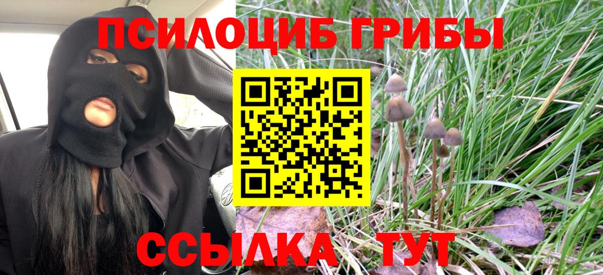 Галлюциногенные грибы MAGIC MUSHROOMS  Псилоцибиновые грибы MAGIC MUSHROOMS  Клинцы  Вход с VPN 